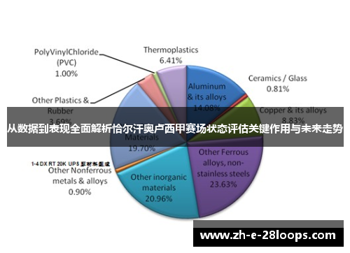 从数据到表现全面解析恰尔汗奥卢西甲赛场状态评估关键作用与未来走势 从数据到表现全面解析恰尔汗奥卢西甲赛场状态评估关键作用与未来走势