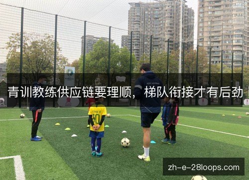 青训教练供应链要理顺,梯队衔接才有后劲 青训教练供应链要理顺,梯队衔接才有后劲